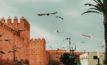 MOROCCO FAMILY DISCOVERY TOUR – 8 DAYS