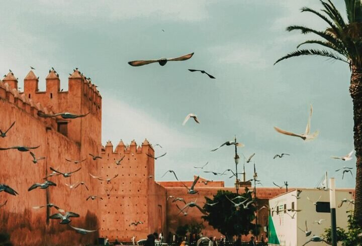 MOROCCO FAMILY DISCOVERY TOUR – 8 DAYS