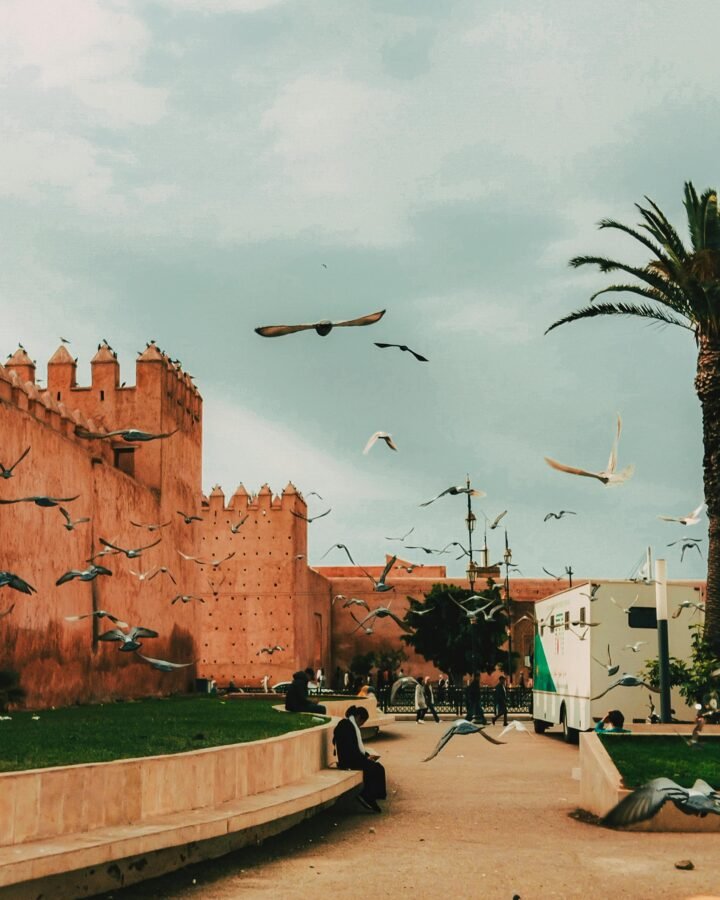MOROCCO FAMILY DISCOVERY TOUR – 8 DAYS